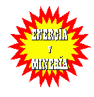 Energa y Minera